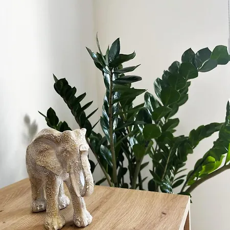 Апартаменты Unlock The Island - Local Insights For Your Ларнака