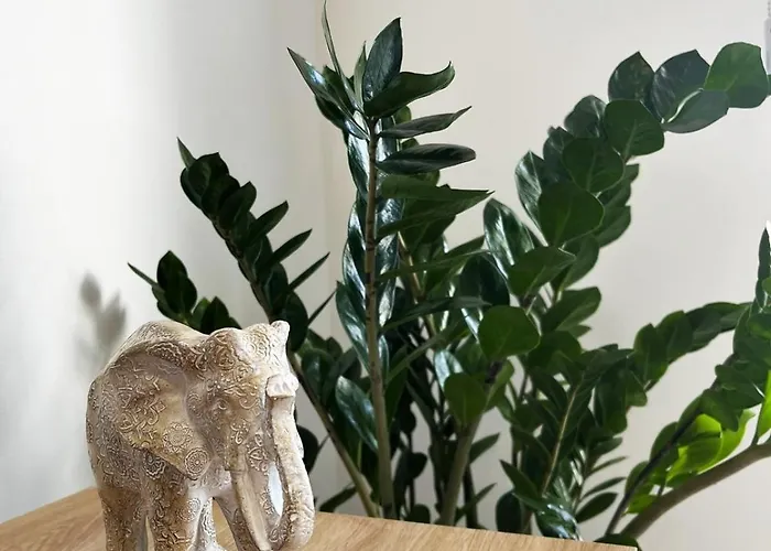 Apartmán Unlock The Island - Local Insights For Your Larnaca